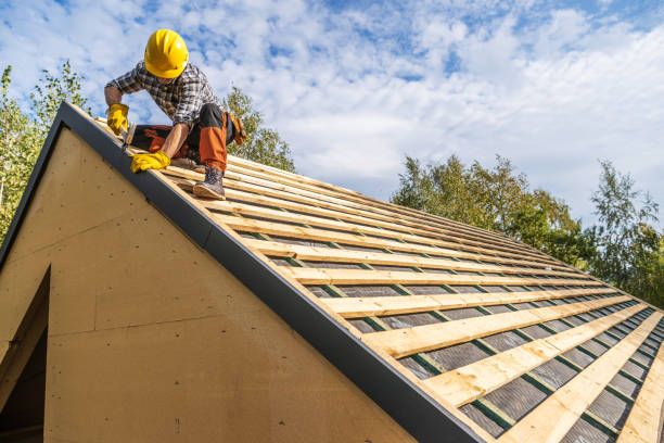 Roof Gutter Cleaning in Cooperstown, NY