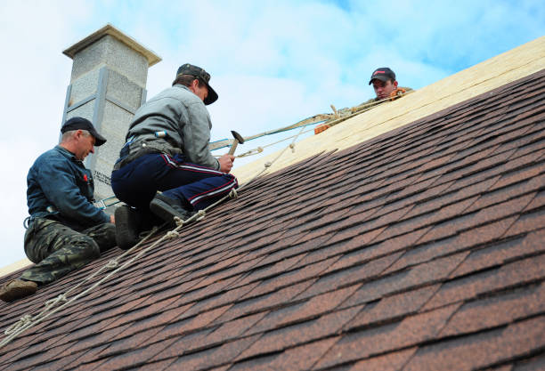Best Gutter Installation and Roofing  in Cooperstown, NY
